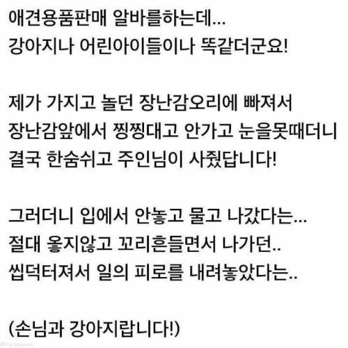 강아지들도 펫샵에서 장난감사달라고 땡깡부림