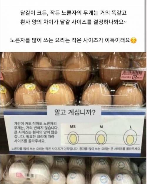 달걀크기의 비밀.jpg