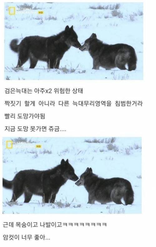 [스압] 아니 아저씨 딸도 절 좋아한다니까요??