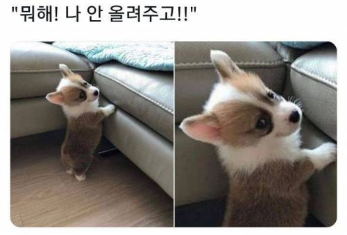 "뭐해! 나 안 올려주고!!"