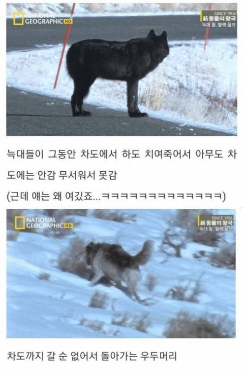 [스압] 아니 아저씨 딸도 절 좋아한다니까요??