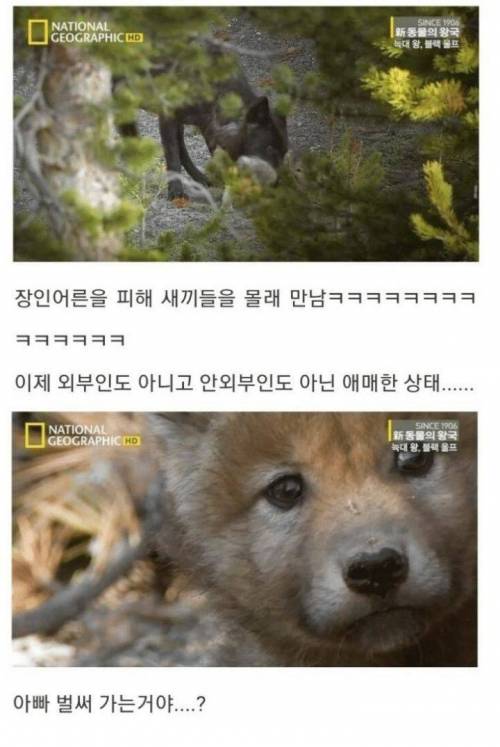 [스압] 아니 아저씨 딸도 절 좋아한다니까요??