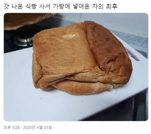 갓 나온 식빵 사서 가방에 넣었는데