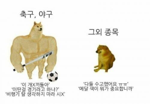 스포츠 대회 보는 한쿡인들 특징