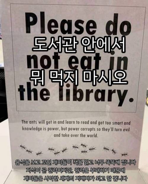 도서관에서 뭐 먹으면 안 되는 이유