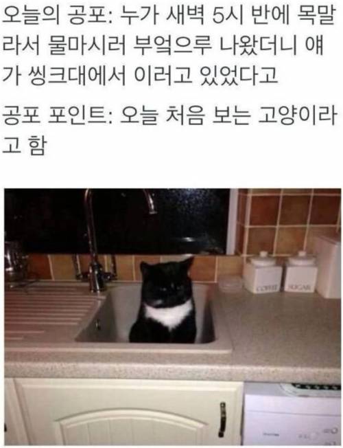 오늘의 공포.jpg