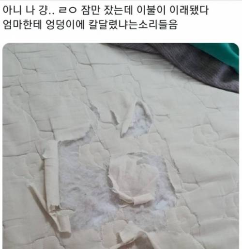 잠만 잤는데 이불이.jpg