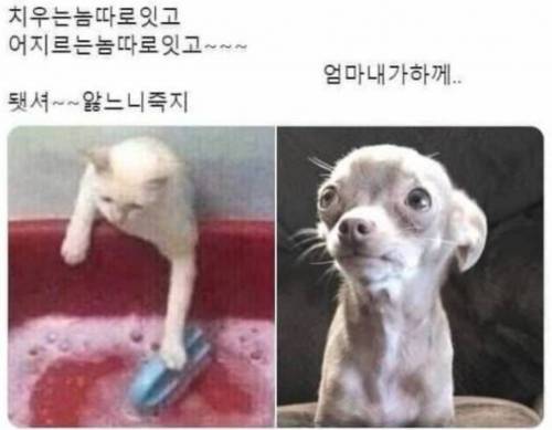 어머니가 자식들방 치울때 단골멘트.jpg