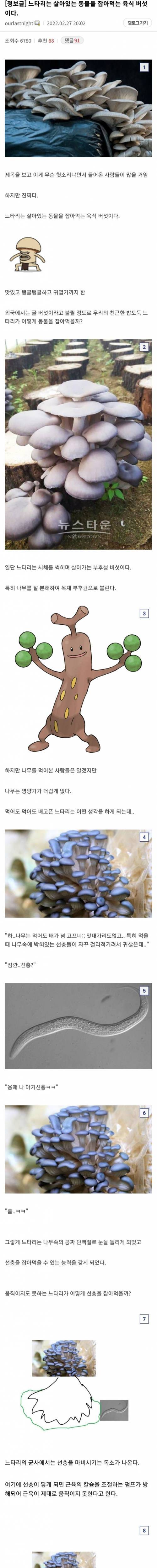 무시무시한 육식 버섯의 세계.jpg