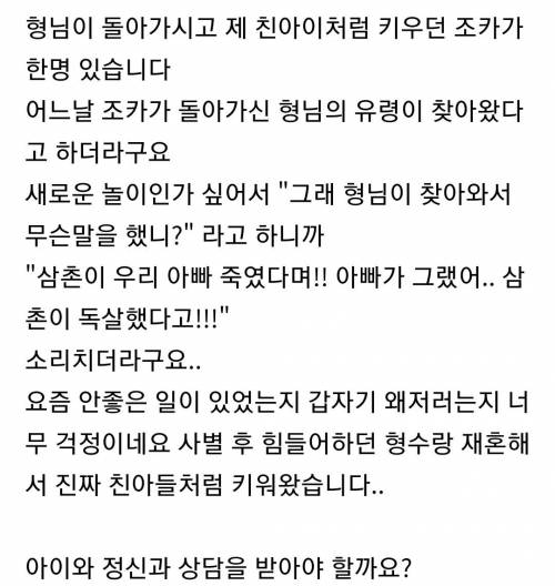 조카가 갑자기 죽은 형님의 유령이 보인다고 합니다