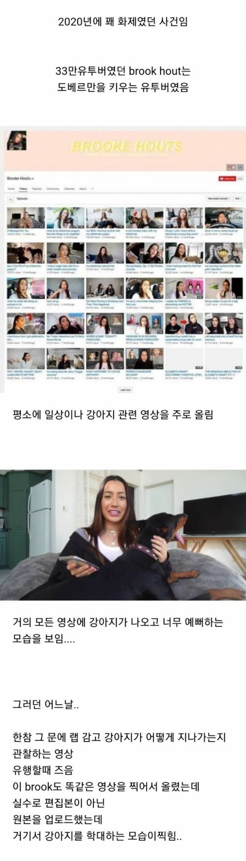 실수로 강아지 학대하는 영상 올린 해외유투버