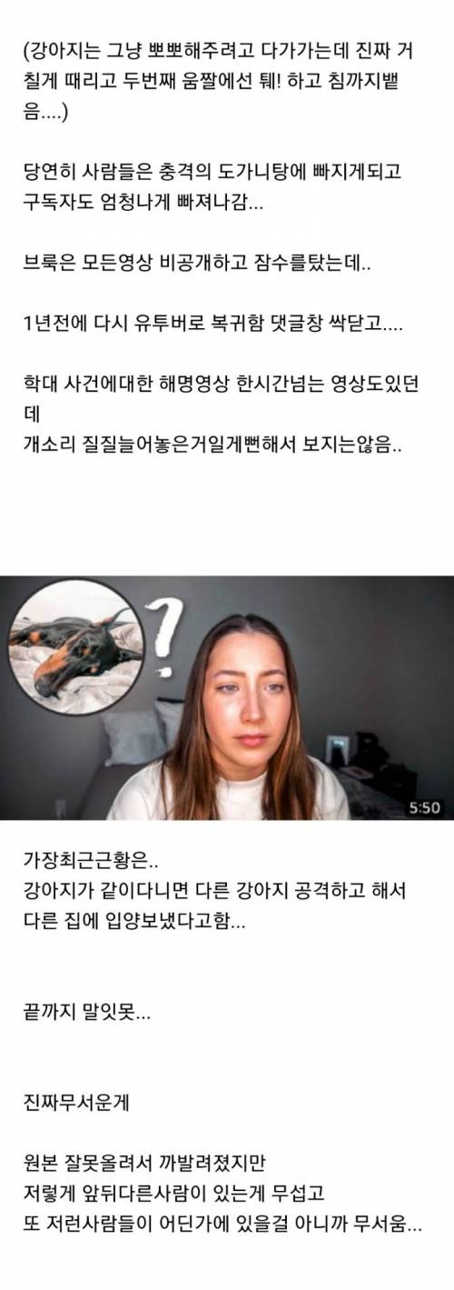 실수로 강아지 학대하는 영상 올린 해외유투버