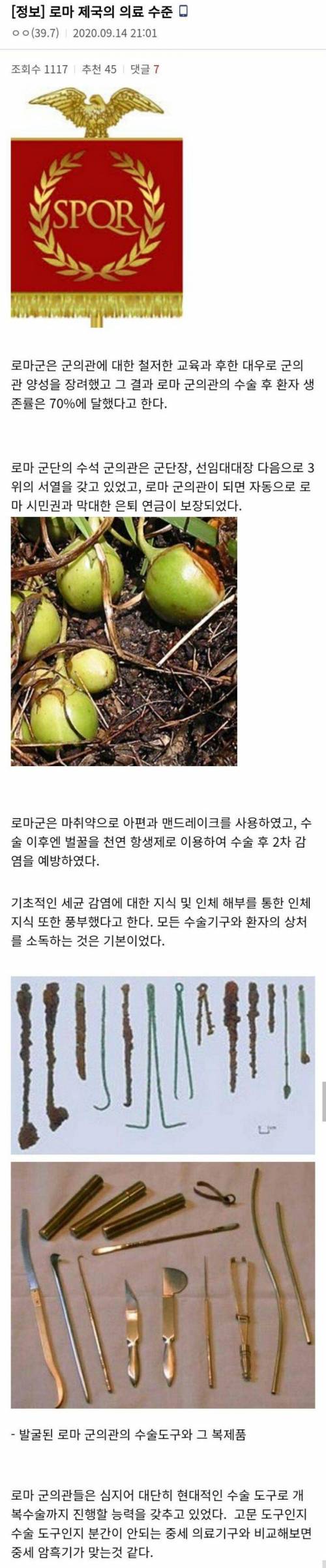 로마 제국의 의료 수준.jpg