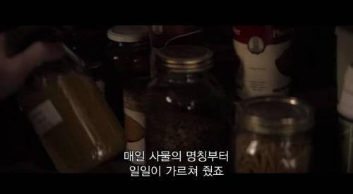 [스압] 사고가 난 뒤에 내가 아는 건 내 쌍둥이 형제 뿐인데, 알고 보니 형제는 계속 나를 속이고 있었어.jpg