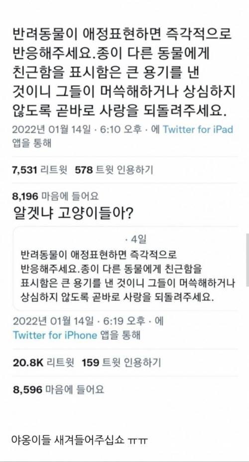 반려동물이 애정표현하면 즉각적으로 반응해주세요