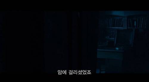 [스압] 사고가 난 뒤에 내가 아는 건 내 쌍둥이 형제 뿐인데, 알고 보니 형제는 계속 나를 속이고 있었어.jpg