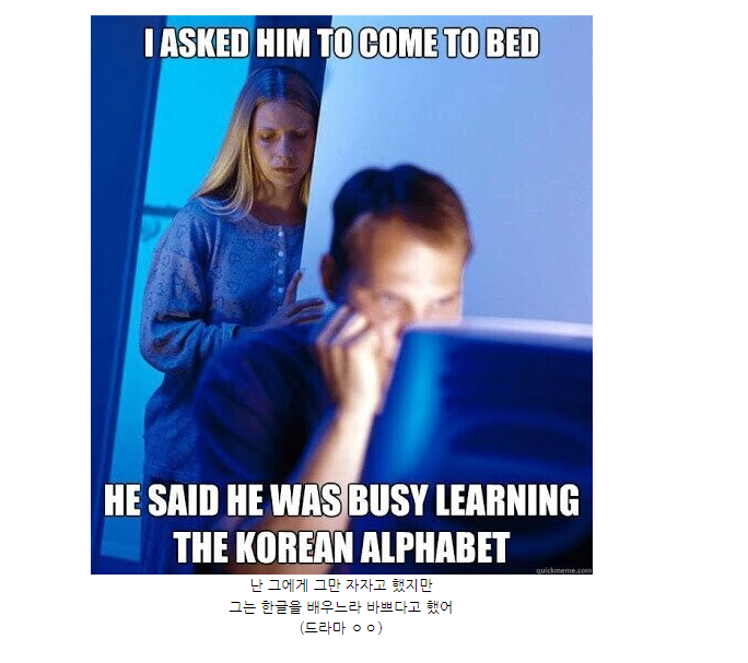 외국인들의 한국어 밈