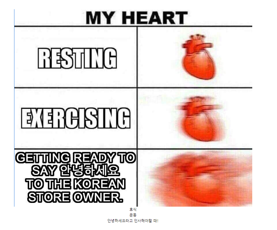 외국인들의 한국어 밈