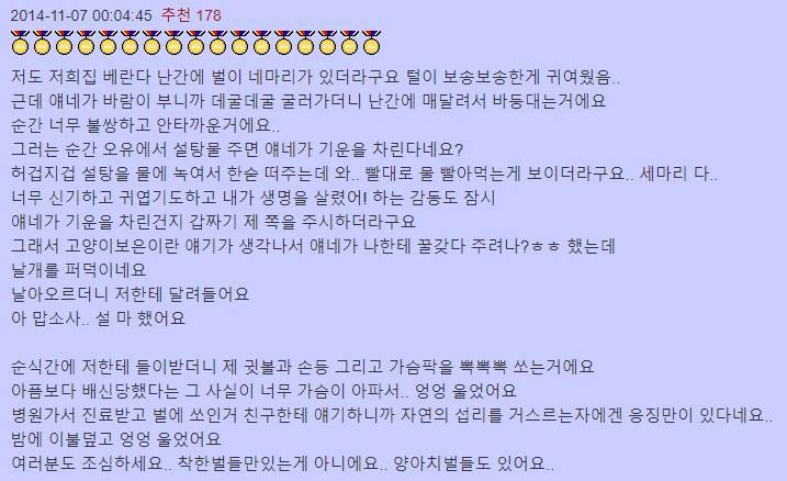 벌을 구해준 자의 최후