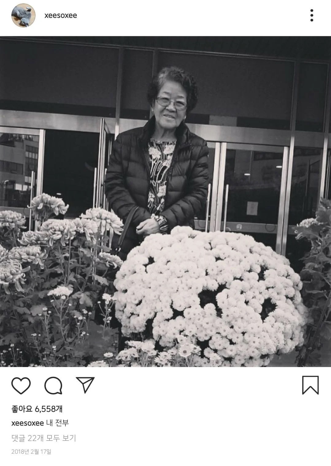 한소희가 올린 할머니와 관련된 글들.jpg