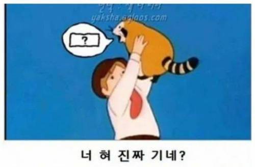 제목학원 모음.jpg