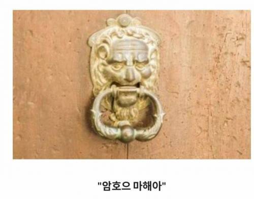 제목학원 모음.jpg