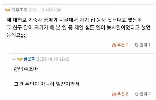 쌀농사 만큼 쉬운 농사가 없죠.. 거의 논다고 보면 됩니다.