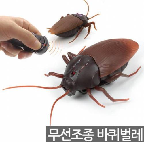 어느 유부남의 RC카 후기