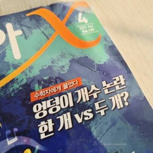 엉덩이는 1개 vs 2개 논란