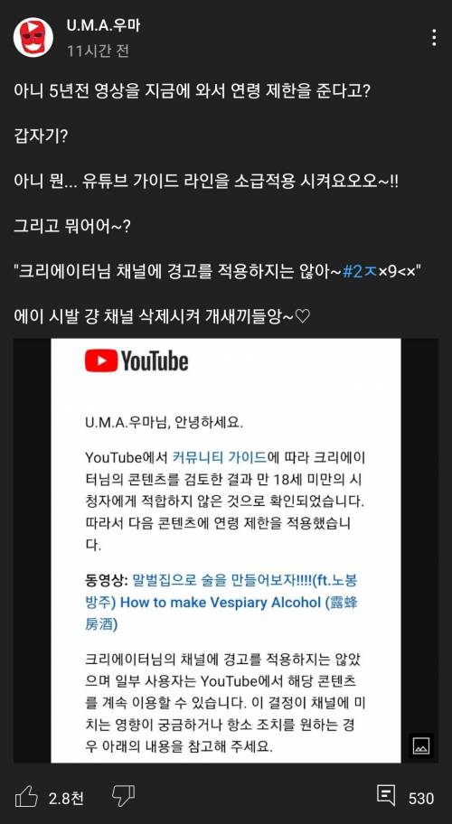예전영상 19금 걸려서 화난 유튜버