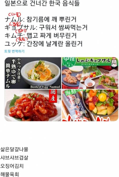 한국 음식 가져가서 나름 열심히 분석한 일본인들.jpg