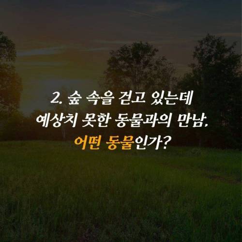 재미로 하는 무의식 심리테스트.jpg