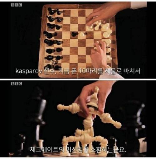 의외로 체스에서 금지된 전략.....jpg