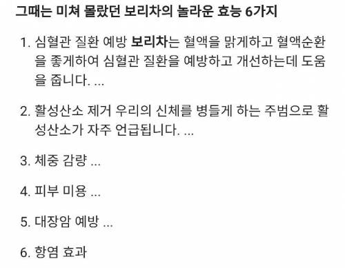 				보리차 효능 부작용