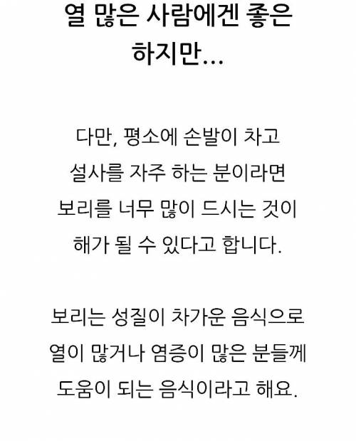 				보리차 효능 부작용
