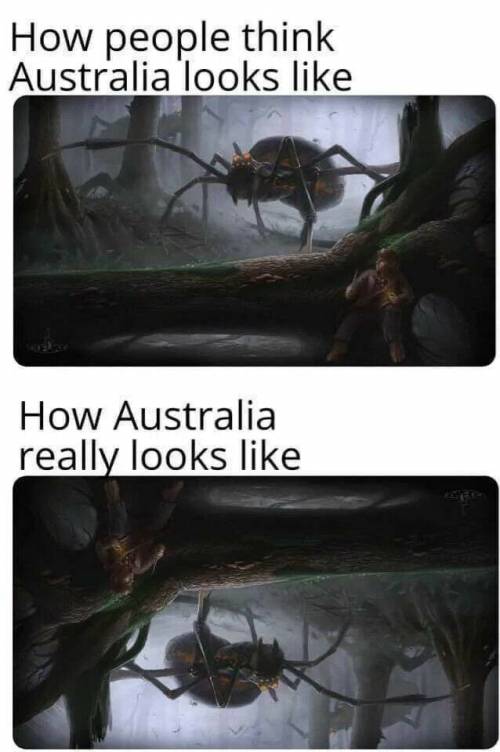 호주에 대한 상상과 실제