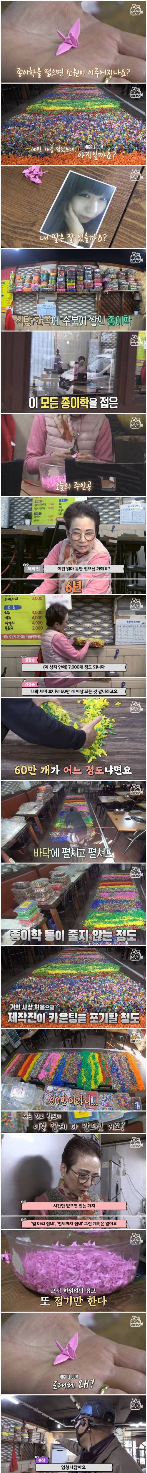 6년간 종이학 60만개 접은 어느 엄마