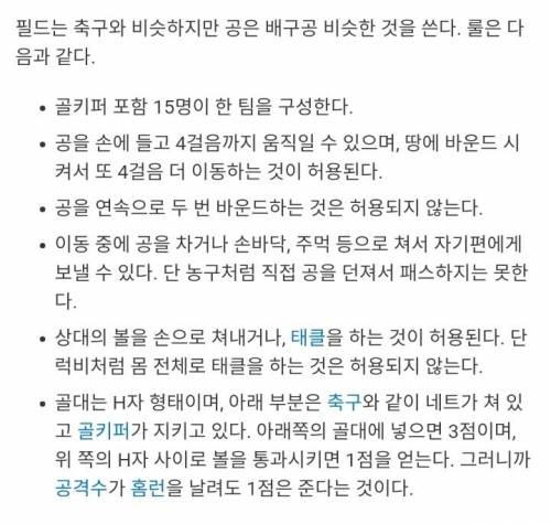 아일랜드에서 독보적 인기를 자랑하는 스포츠 ㄷㄷㄷ gif