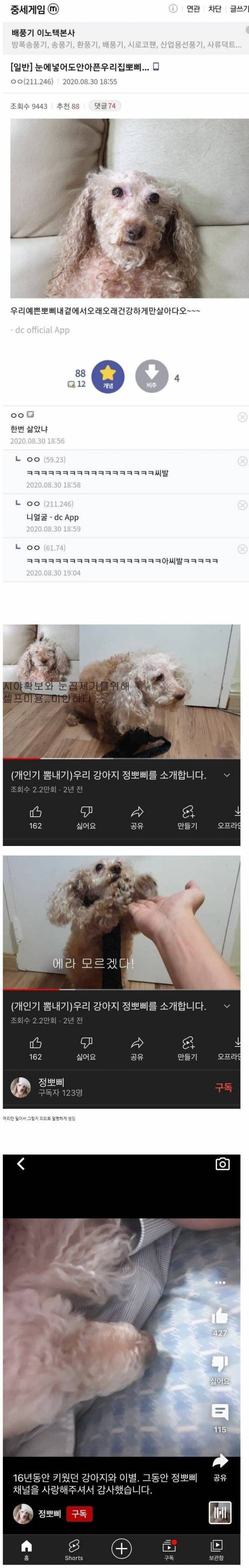 한번 삶았냐 강아지의 근황