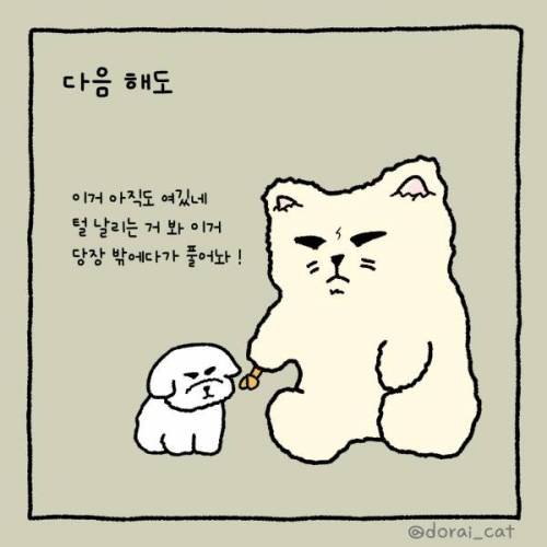 강아지 이거 당장 갖다 버려!