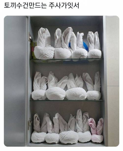 토끼 수건 만드는 주사가 있어