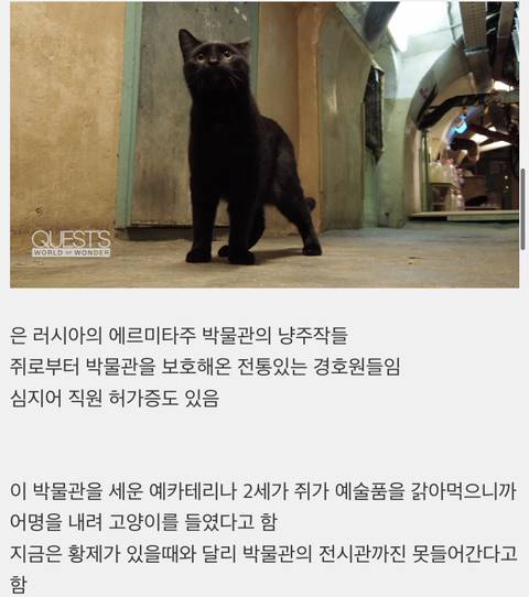 무려 300여년 동안 박물관을 경호하고 있는 전통적인 보디가드들