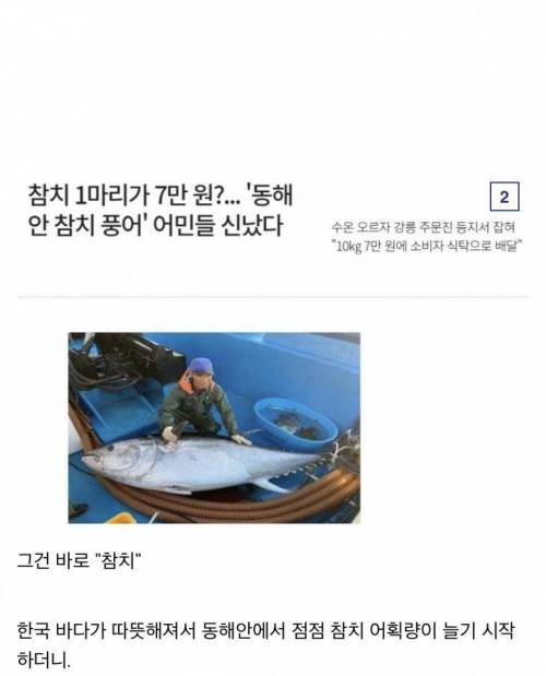 싱글벙글 요즘 한국에서 가격 급락한 식자재 No.1