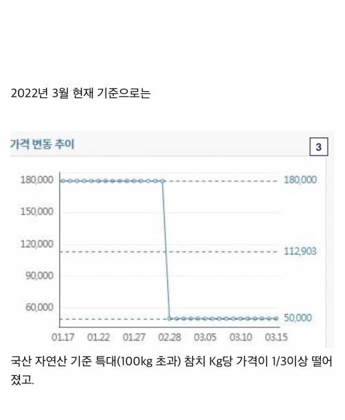 싱글벙글 요즘 한국에서 가격 급락한 식자재 No.1