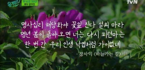 윤여정이 습관처럼 증조할머니께 기도 드리는 이유