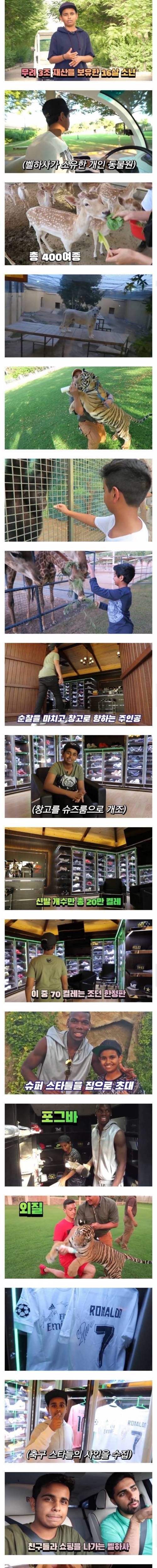 3조 보유한 16살의 하루 일과.jpg