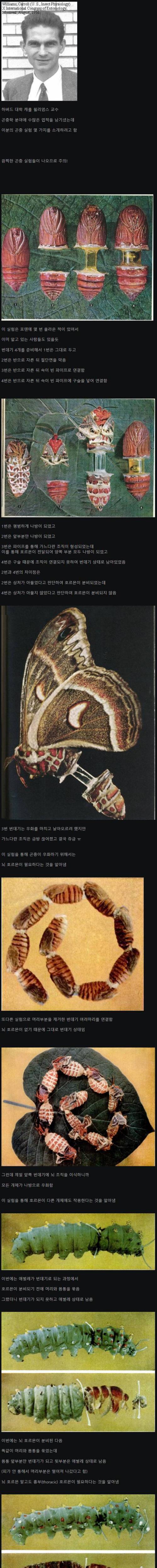 (혐주의 곤충분야의 매드 사이언티스트.jpg