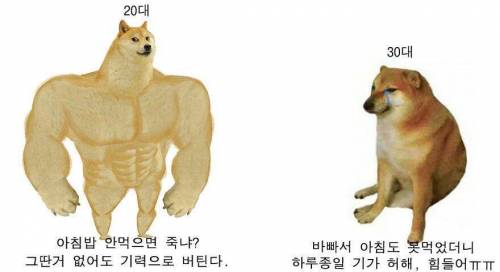 20대와 30대의 아침밥 인식 차이