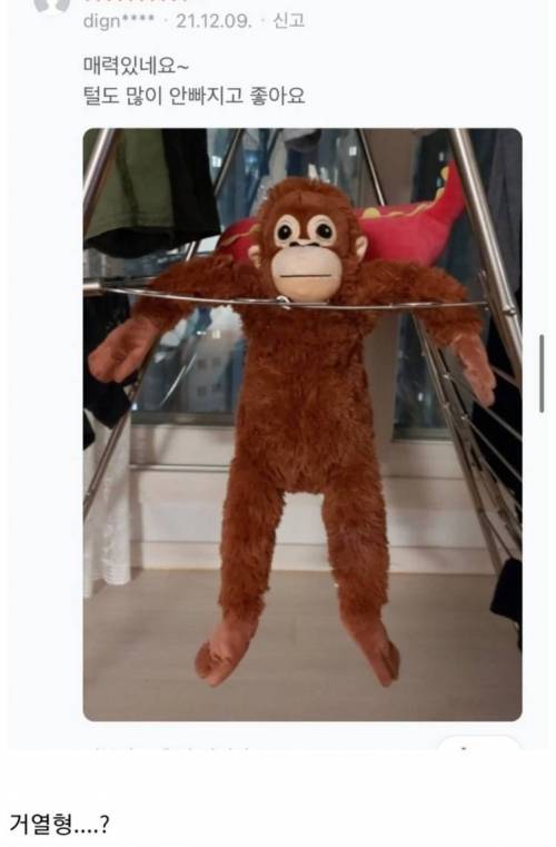 원숭이인형 웃긴리뷰