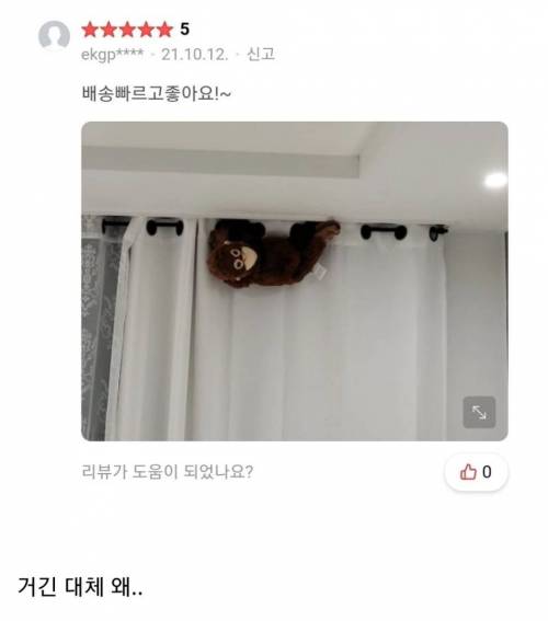 원숭이인형 웃긴리뷰